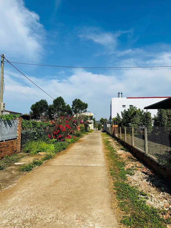 Đất Vàng Buôn Ma Thuột - 612m² Mặt Tiền Hẻm Lớn Kinh Doanh