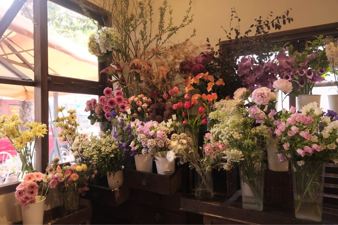 Bán Gấp Đất Tặng Nhà Cấp 4 Buôn Riêng, Ea Nam, Đắk Lắk - 535m² Giá 1.25 Tỷ