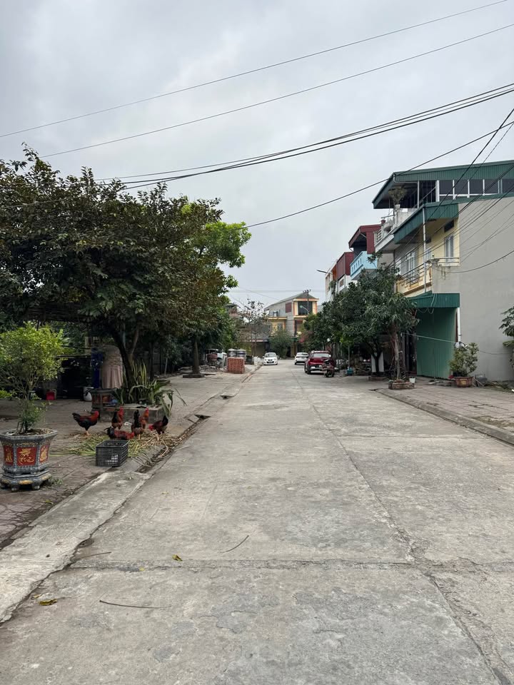 Lô Đất Nam Bình, Hoa Lư 70m² - Sổ đỏ chính chủ, tiềm năng đầu tư!