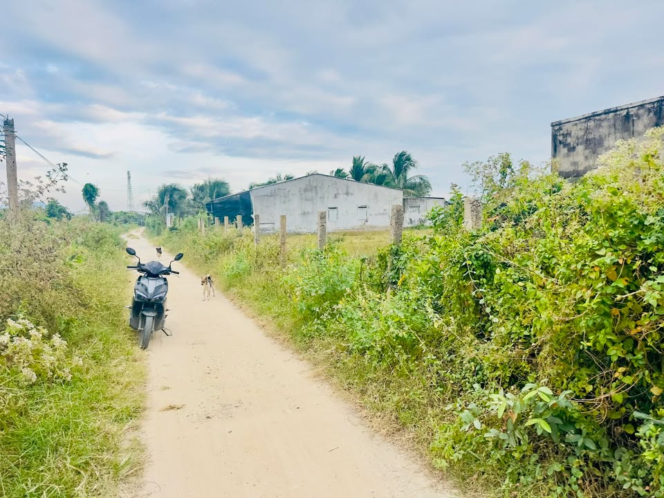 Đất nền Xuân Tự 2, Vạn Hưng 3486m² - Tiềm năng tăng giá vượt trội!