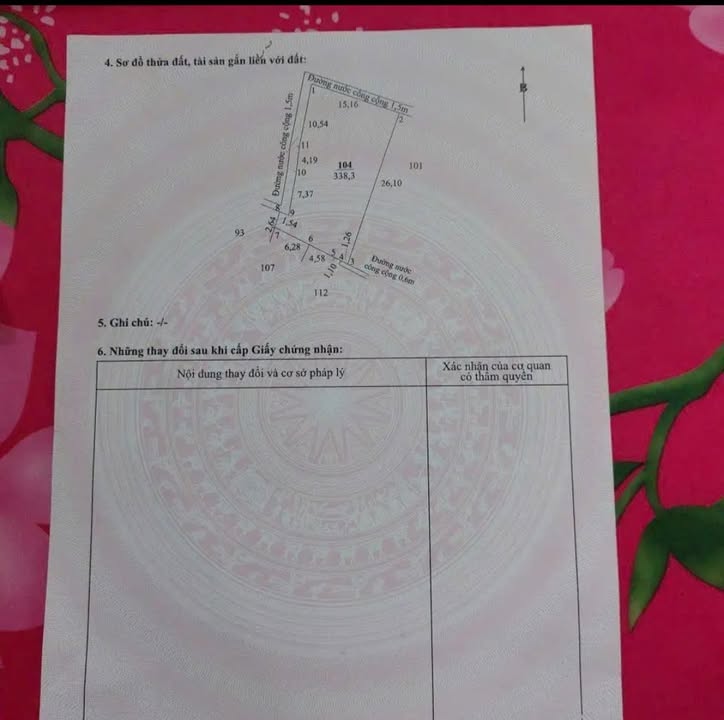 Đất nền 338m² Phường 3 Tân An, Long An - Cơ hội đầu tư sinh lời