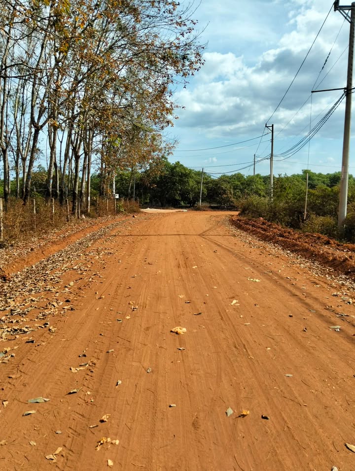 Đất nền Thôn Bình Minh, Phú Riềng 4160m² 240 triệu - Đất thổ cư 100%!