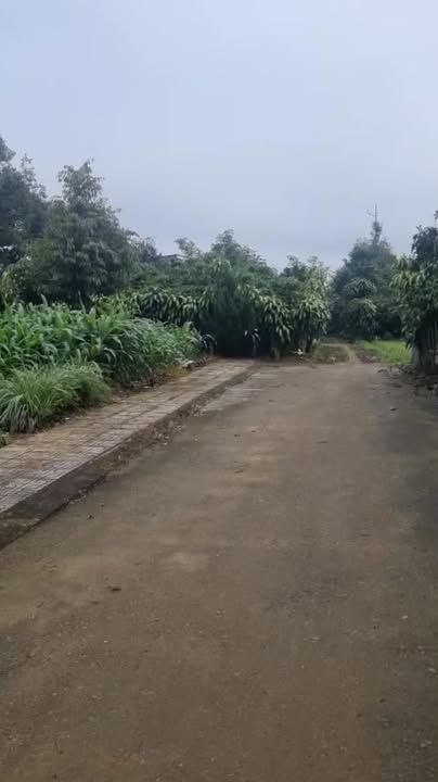 Đất Nền Thổ Cư 126m² Xã Tân Lạc, Bảo Lâm - Sổ Đỏ Sẵn Sàng 550 Triệu