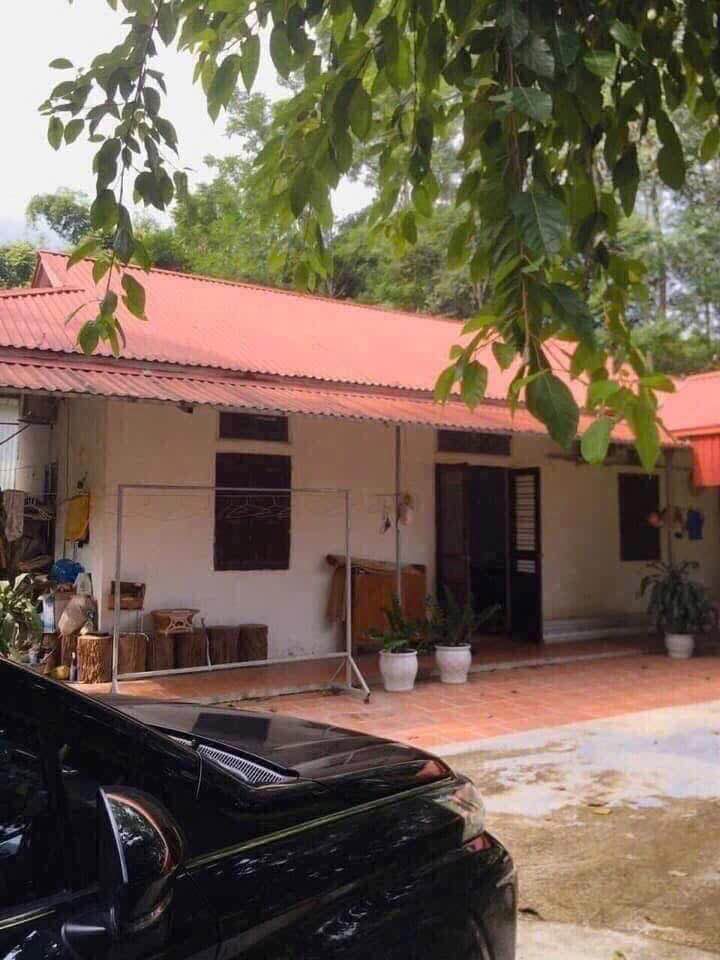 Bán Gấp Nhà Vườn 1112m² Hòa Bình - Sổ Đỏ Chính Chủ Chỉ 3.2 Tỷ