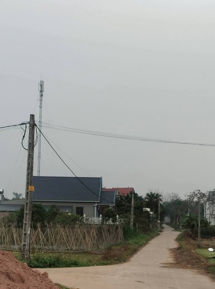 Bán đất Quang Trung, Tân Yên 174m² - Lô góc nở hậu, giá tốt đón Tết