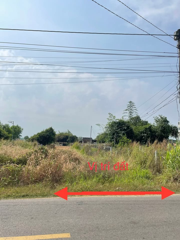 Đất mặt tiền Nguyễn Huệ Đất Đỏ 118m² giá 990 triệu - Vị trí đắc địa