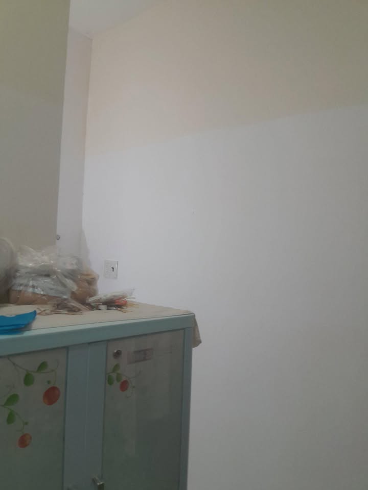 Thuê nhà nguyên căn Phường 8 Vũng Tàu 50m² - 5 triệu - Sẵn sàng ở ngay!