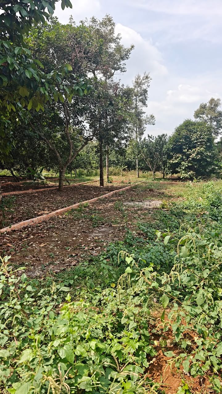 Đất nền Bình Lộc Long Khánh 145m² - Sổ đỏ chính chủ