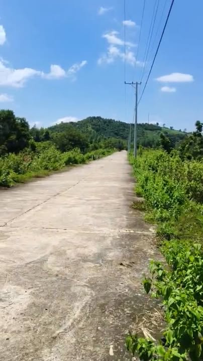 Đất Nông Nghiệp Bác Ái 5400m² - Sinh Thái Xanh, View Hồ Trà Co!