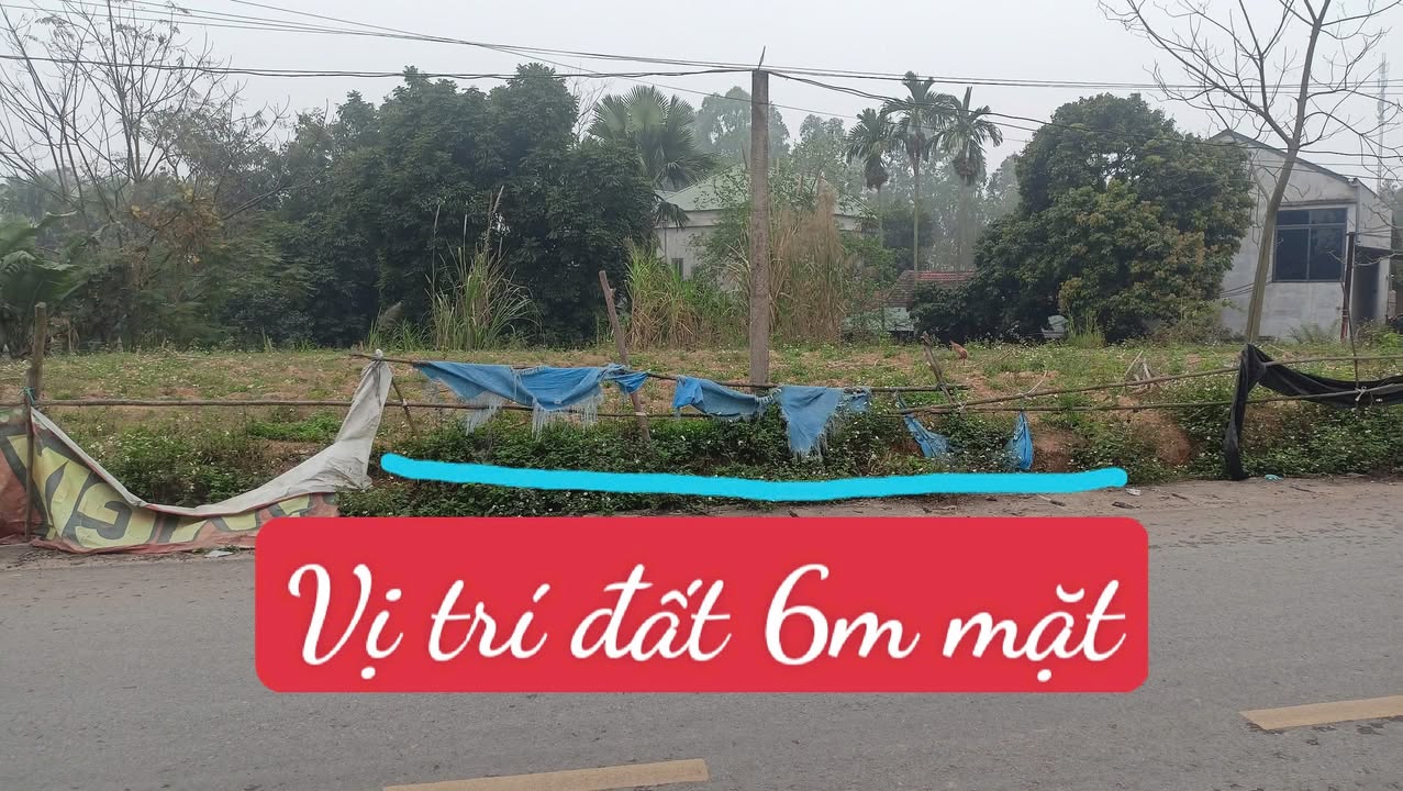 Đất nền Thanh Đình, Việt Trì 96m² - Tiềm năng tăng giá vượt trội!