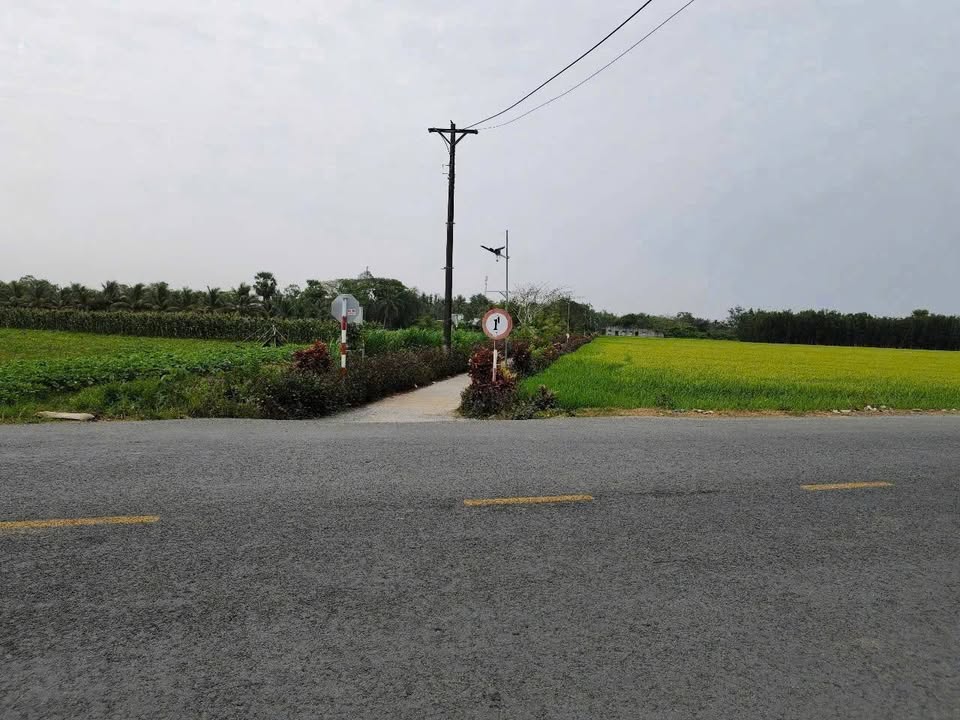 Đất nền An Ninh, Châu Thành 250m² - Giá 500 triệu, Bán lỗ thu hồi vốn!