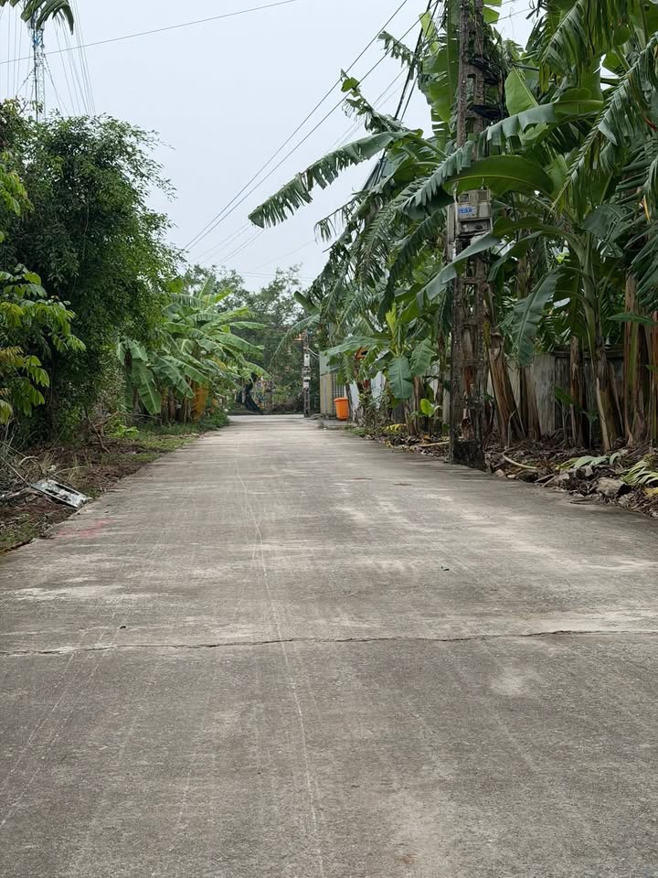 Bán Biệt Thự 150m² Mặt Tiền 7.5m Đông Trung, Kiến Xương - Giá 9 Tỷ