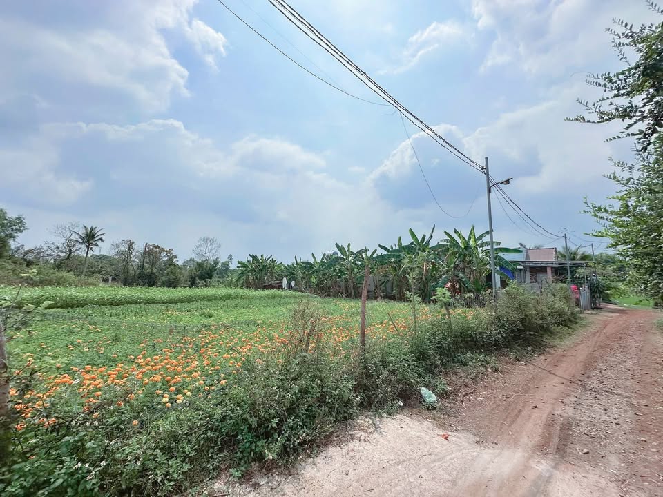 Đất nền Phú Bình, TP Long Khánh 250m² giá 1.3 tỷ - Sổ đỏ chính chủ