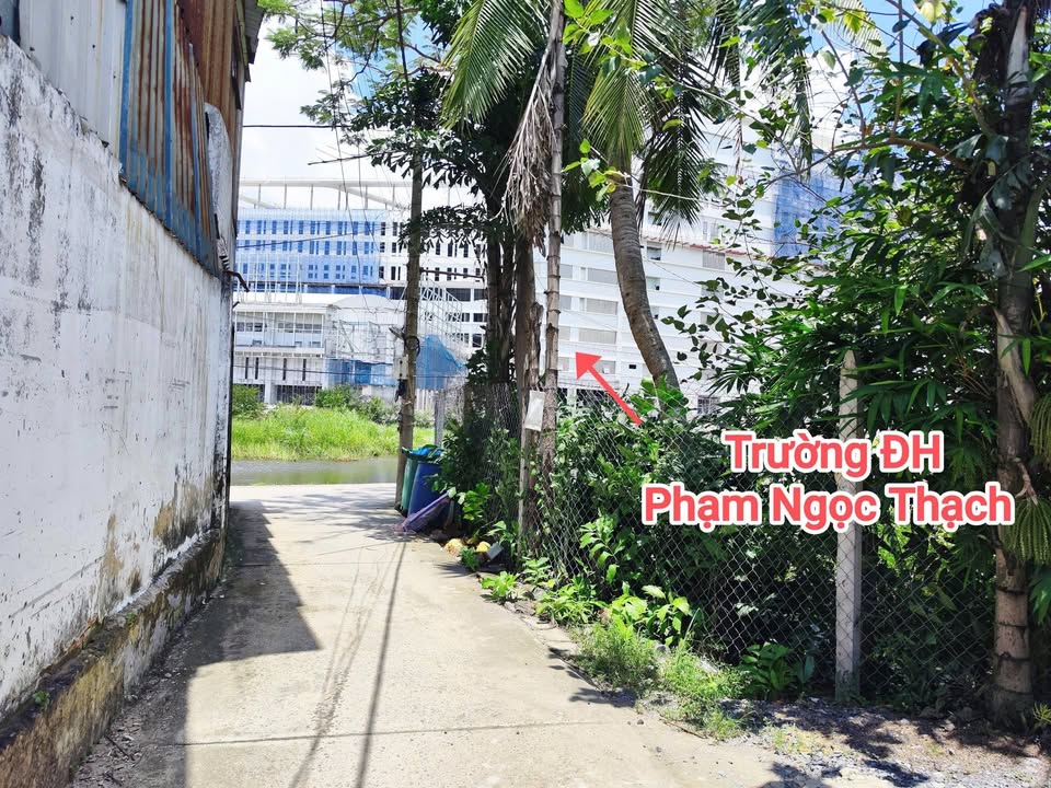 Đất vườn Tân Kiên Bình Chánh 860m² giá 7 tỷ - Nghỉ dưỡng lý tưởng!