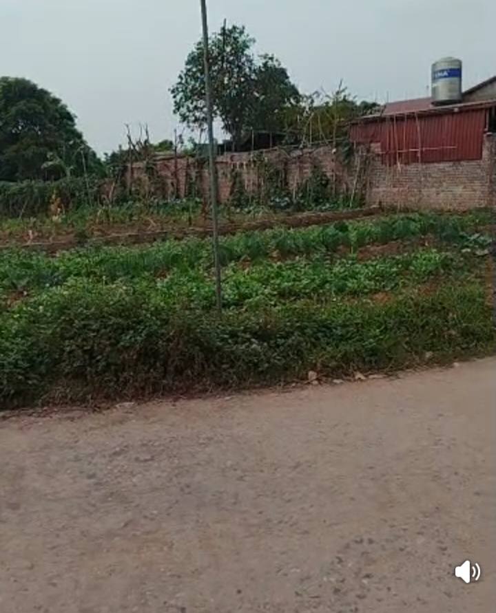 Đất nền Gia Bình 94.8m² - Lô góc, ô tô tránh, sổ đỏ sẵn!