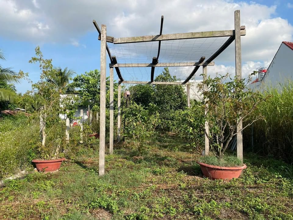 Đất Diên Sơn 192m² giá 1.4 tỷ - Vị trí cực hiếm, tiềm năng tăng giá