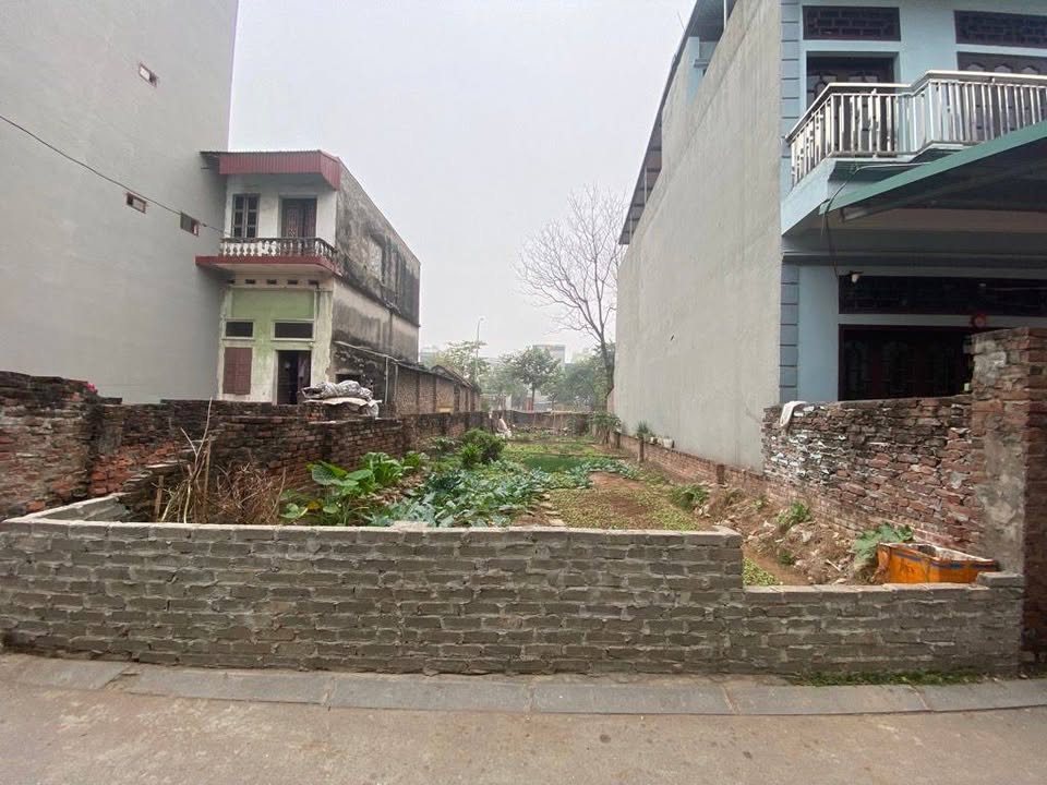 Đất nền Mai Lâm Đông Anh 75m² - Sổ đỏ chính chủ, tiềm năng tăng giá!