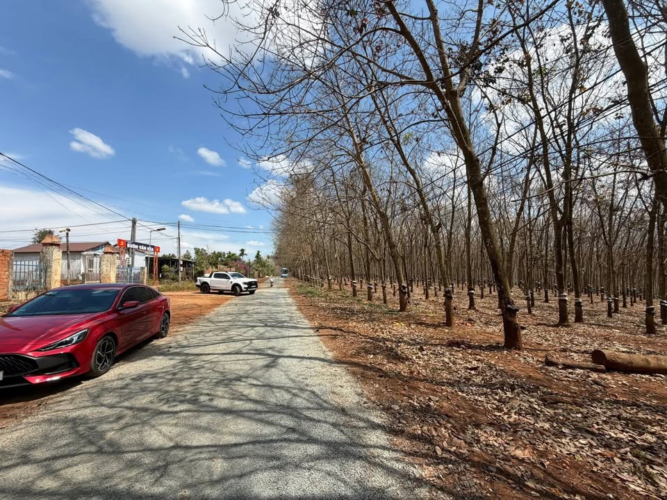 Đất nền Ea H'leo 520m² - Đường to ô tô, tiềm năng tăng giá!