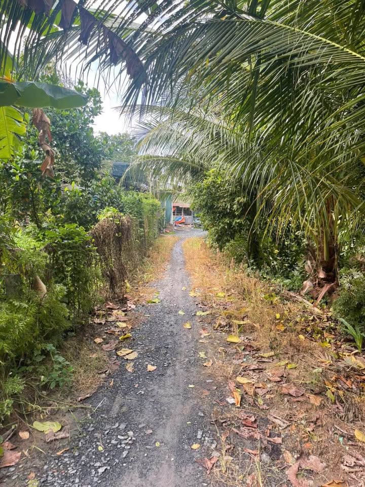 Đất Nền Vĩnh Châu, An Giang 508m² - Mặt Tiền Kênh, Giá Tốt