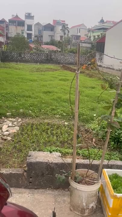 Đất Thổ Cư Ân Thi 129m² - Gần QL38, Đường 2 Ô Tô Tránh Nhau