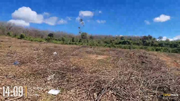 Đất nền Xã Ia Chim Kon Tum 5.3ha - Sổ đỏ chính chủ, tiềm năng sinh lời!