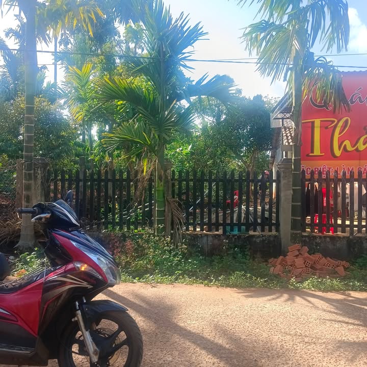 Bán Gấp Đất Nền 297m² Thôn Xuân Long, Krông Năng - Giá Tốt Trước Tết!