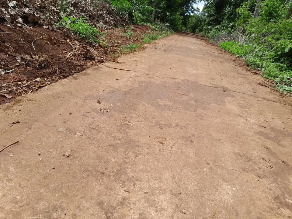 Đất vườn Ea Kao BMT 3.5 sào giá 1.3 tỷ - Đầu tư sinh lời ngay!