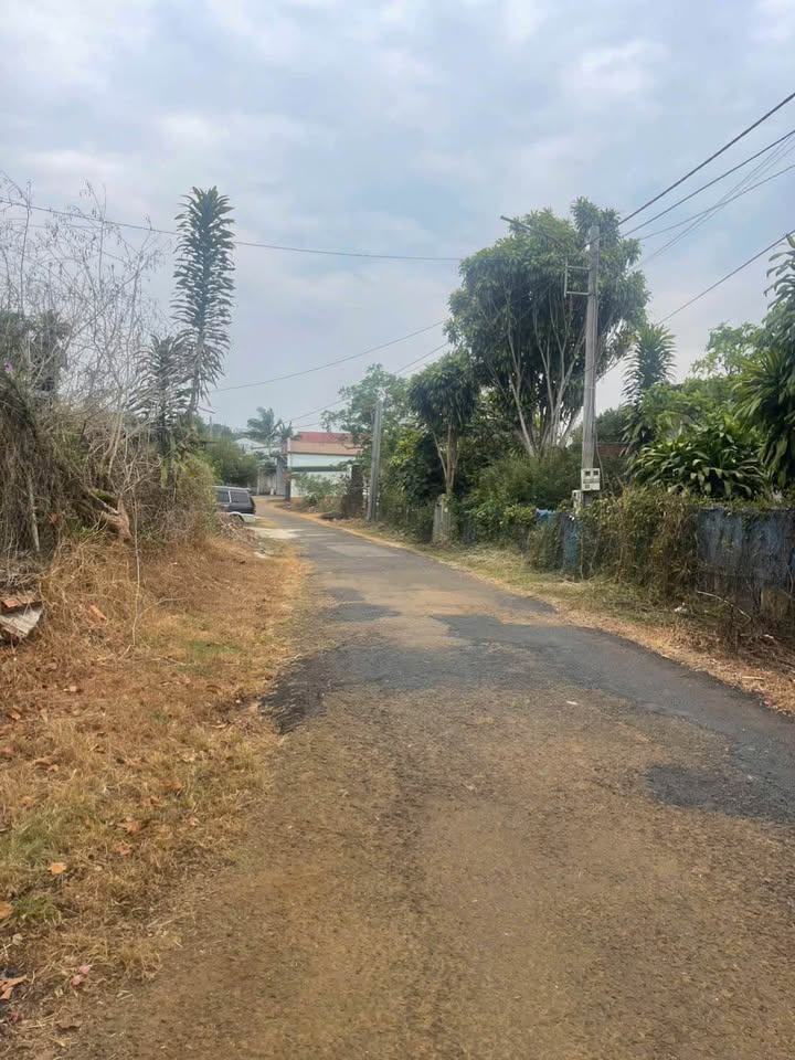 Nhà phố Phó Đức Chính Bảo Lộc 308m² - Mặt tiền kinh doanh, giá chỉ 2 tỷ!