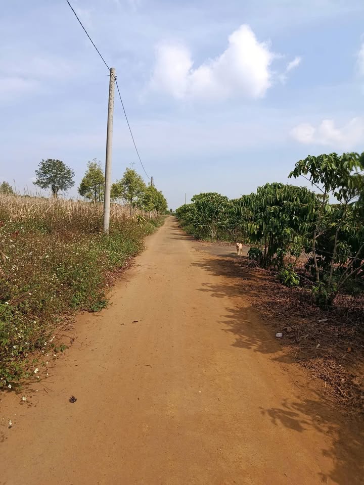 Đất nền Bảo Lâm 180m² - Sổ đỏ chính chủ, thổ cư 100%