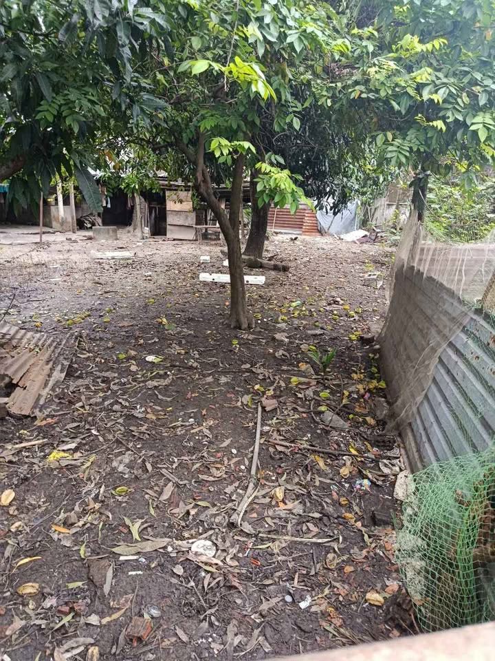 Đất nền Liên Chiểu Đà Nẵng 110.5m² Sổ đỏ - Sẵn sàng công chứng