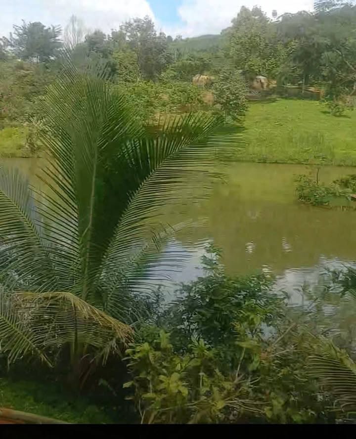 Đất nền Gia Nghĩa 1440m² - Tiềm năng tăng giá vượt trội!