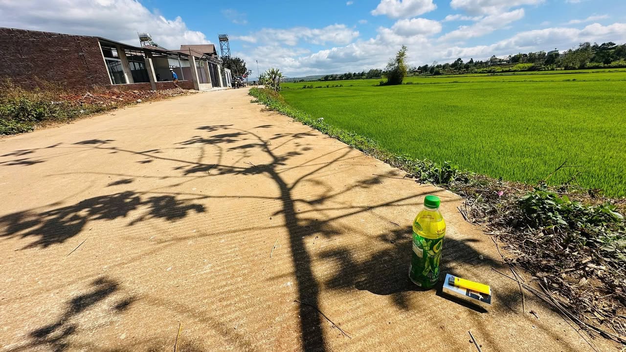 Bán đất nền Pleiku 100m² giá 500 triệu - Sổ đỏ chính chủ, view ruộng cực đẹp