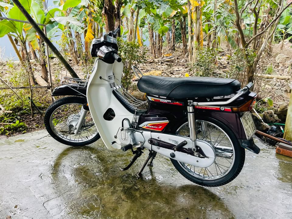 Đất nền Kim Sơn, Ninh Bình 100m² hướng Đông - Sổ sẵn sang tên nhanh