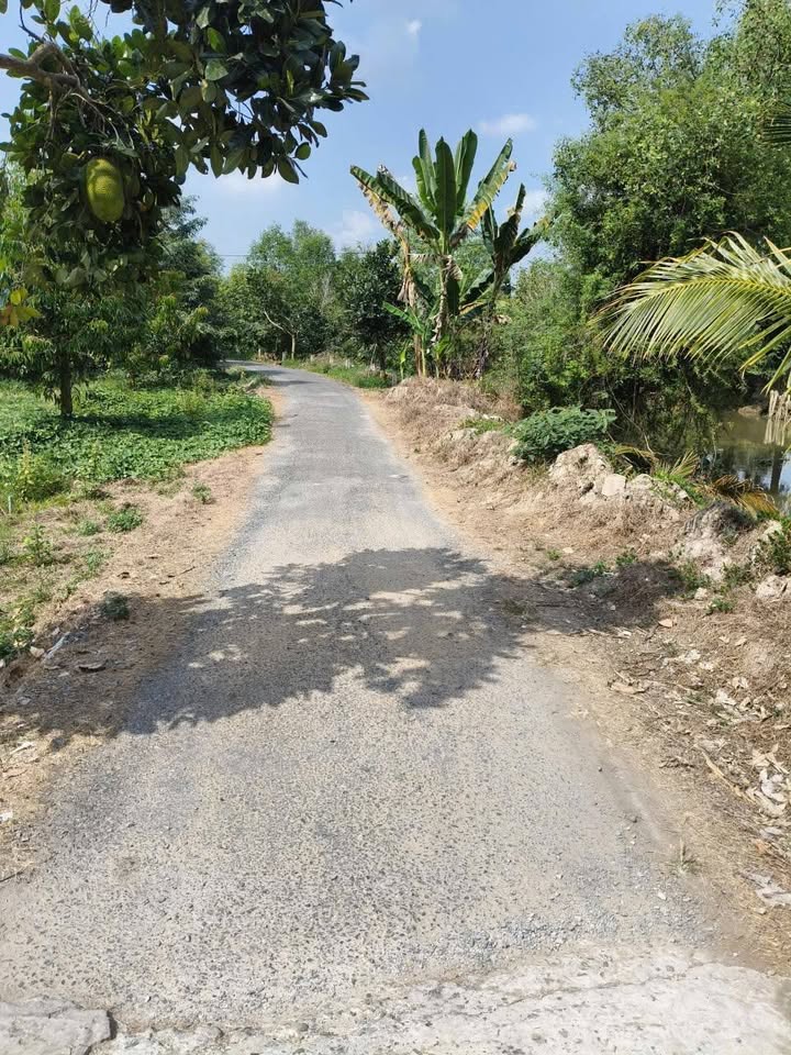 Đất Vườn Cái Bè 2000m² - 1.7 Tỷ - Nghỉ Dưỡng Lý Tưởng!