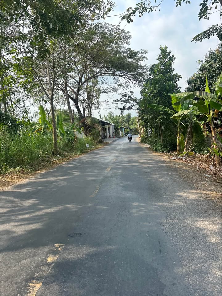 Nhà cấp 4 Lấp Vò, Đồng Tháp 442m² - Giá tốt hiếm có!