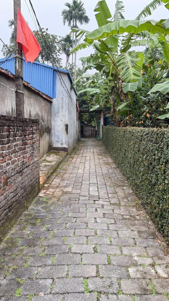 Đất Nền Riverside Kim Động 200m² - Sổ Đỏ Sẵn, Giá Tốt