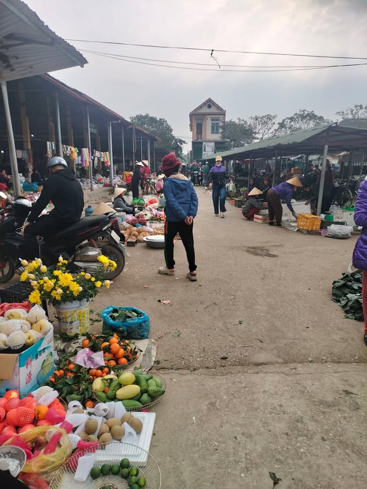 Đất nền Xã Thọ Vực 100m² Triệu Sơn - Tiềm năng tăng giá vượt trội!