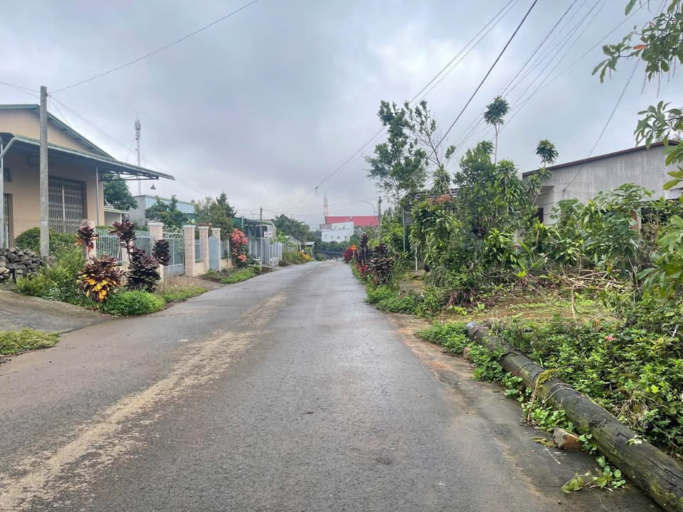 Nhà vườn Trung Tâm Bảo Lộc 511m² - Sẵn 233m² Thổ Cư - Giá 6.5 Tỷ