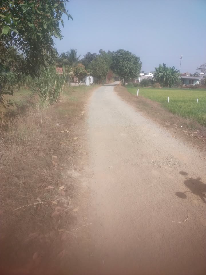 Đất nền Trung Lập Hạ Củ Chi 850m² - Sổ đỏ chính chủ, giá tốt!