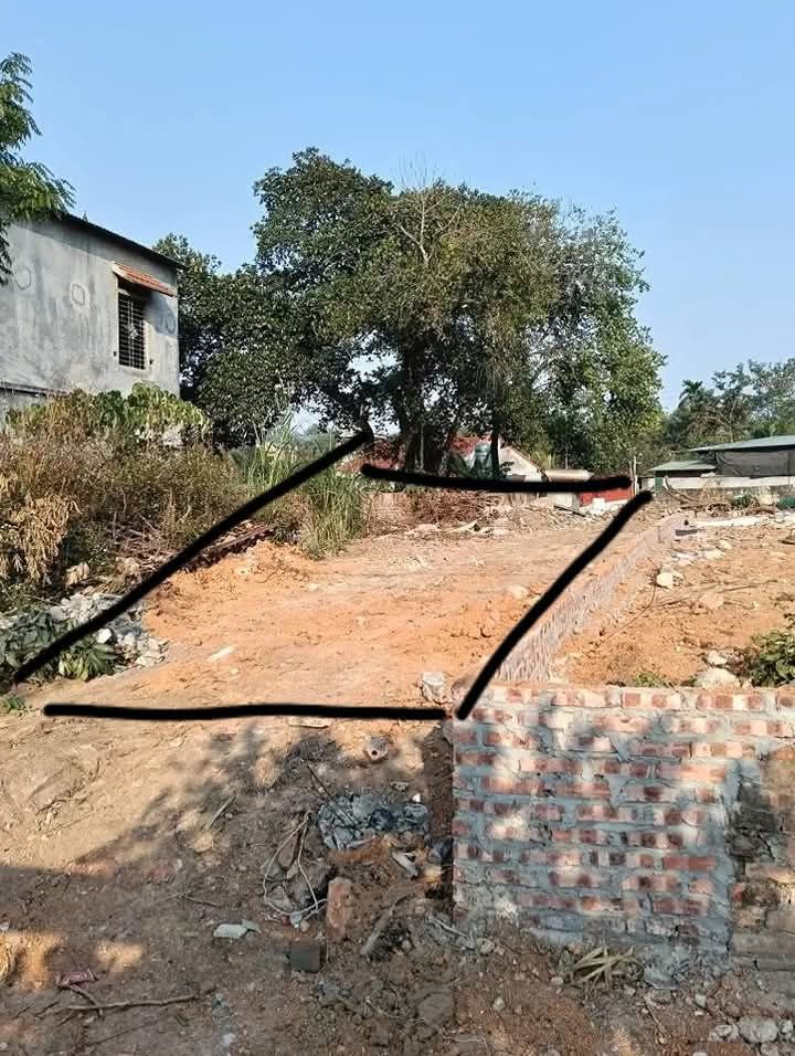 Đất nền Duy Phiên Tam Dương 250m² 1.3 tỷ Sổ đỏ chính chủ