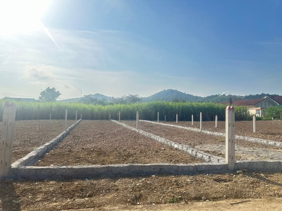 Đất nền Diên Đồng, Diên Khánh 161m² giá 599 triệu - Sổ đỏ chính chủ!