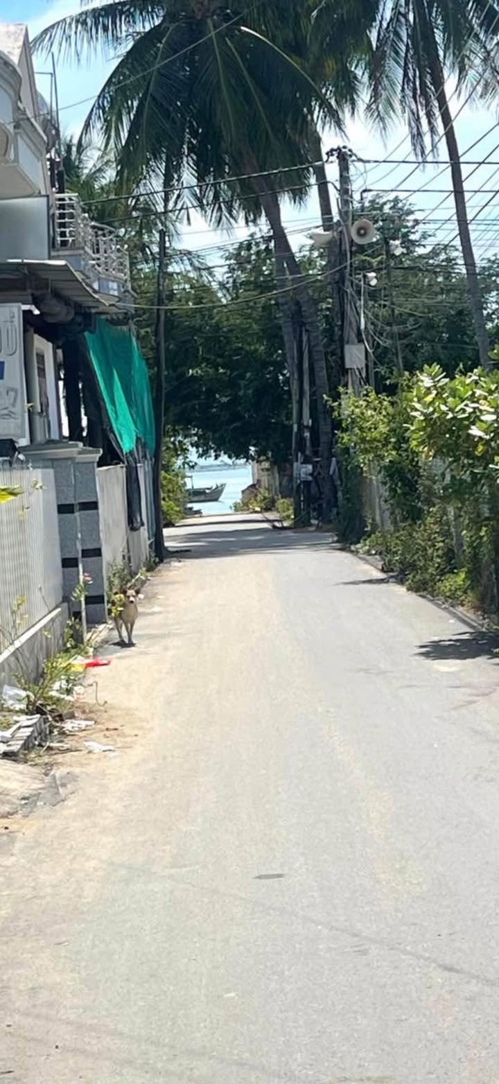 Đất nền Vạn Ninh 450m² giá 3.825 tỷ - Sổ đỏ chính chủ, cách biển 150m!