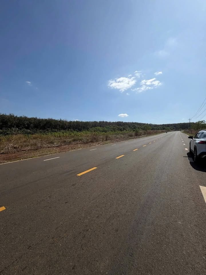 Đất nền 215m² Tân Lợi, Thống Nhất - Thổ cư 100%, mặt tiền kinh doanh!