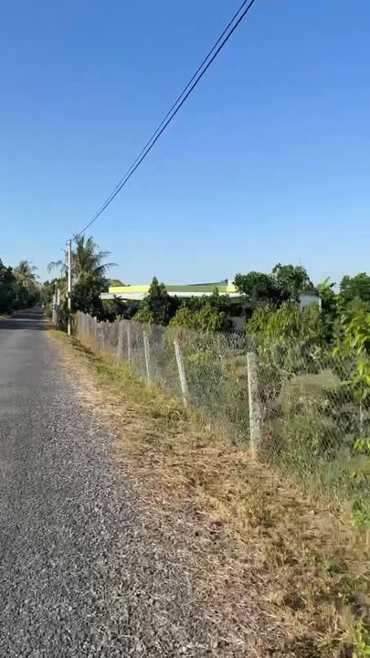 Bán Đất Vườn Sầu Riêng 11.300m² Hậu Mỹ Trinh, Cái Bè - Giá 12.5 Tỷ