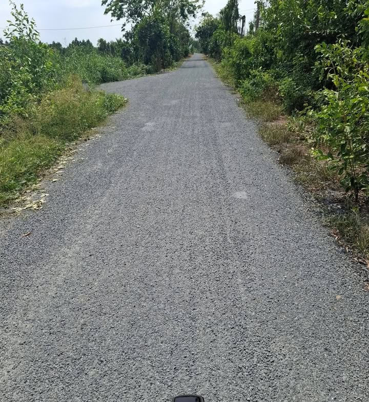 Bán Gấp 16.500m² Đất Vườn Mặt Sông Lớn, Tháp Mười, Đồng Tháp - Giá 5.1 Tỷ