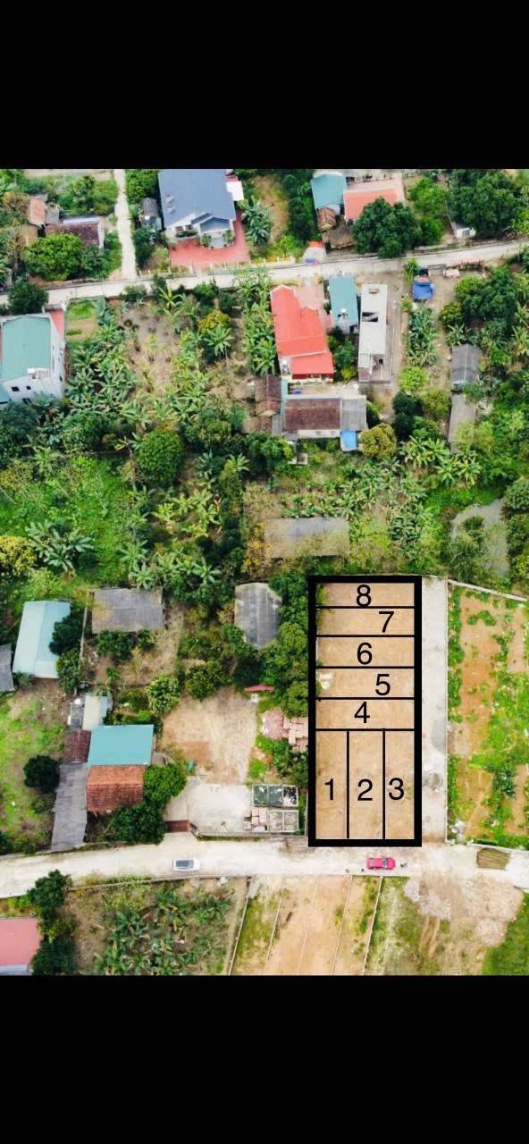 Bán đất Đồng Bông, Tam Dương 99m² - Sổ đỏ chính chủ, giá chỉ 6xx triệu