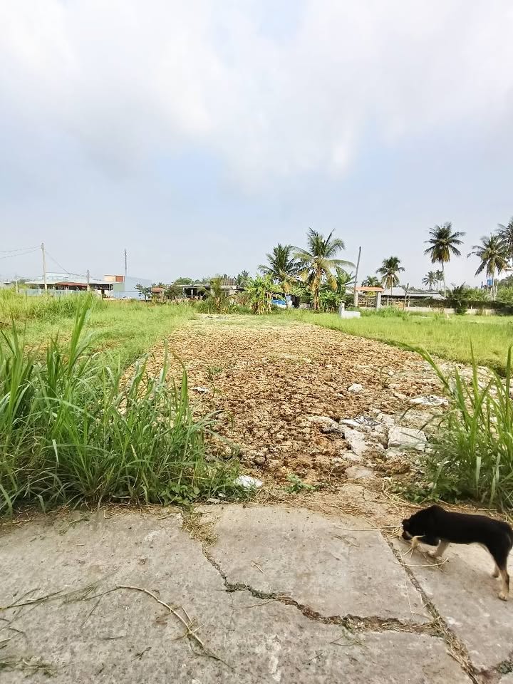 Đất nền Vĩnh Công, Tây Ninh 160m² - Sổ đỏ chính chủ!