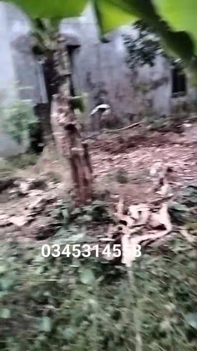 Đất nền Ninh Bình 250m² - Đầu tư sinh lời với chi phí vàng hấp dẫn