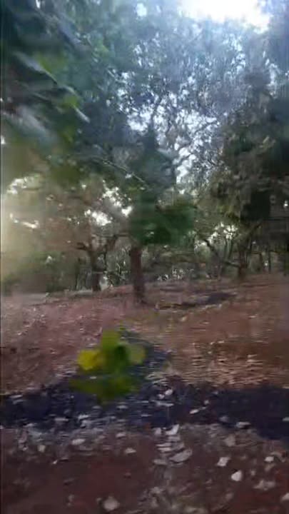 Đất Nền 7ha Thọ Sơn, Bình Phước - Giá Đầu Tư 1.5 Tỷ