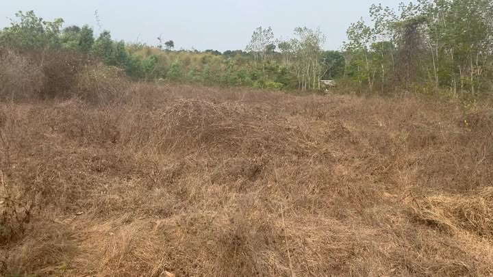 Đất nền Chơn Thành, Bình Phước 225m² - Tiềm năng tăng giá chỉ từ 100 triệu!